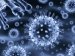 Synthetic Molecules Capable of Enhancing Body's Immune Response to HIV and HIV-Infected Cells