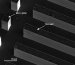 Experiments with Tiny Diamond Cutting Tool Reveal How Different Materials Respond to Micro-Machining