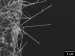 Finding Paves Way for Smaller Nanoelectronics and Nanosensors