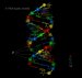 Exploiting Recently Discovered Mechanism Allows Biologists to Develop Disease Treatments by Shutting Down Specific Genes