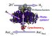 Creating Usable Hydrogen that is Clean and Sustainable