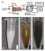 Novel and Simple Way to Analyze Samples that are Complex Mixtures