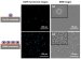 Nano Device Help Improve Diagnosis, Prognosis and Treatment Monitoring