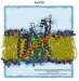 Studies Reveal How Ribosome Interacts with Other Molecules