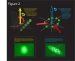 Physicists Use Laser Light to Create "Synthetic Magnetism"