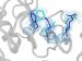 Researchers Use X-Ray Crystallography and NMR Techniques to Directly Visualize Protein Structures