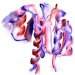 Brandeis Researchers Reveal the Hidden Transient Life of Protein Between Active States