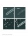 4D Electron Microscopy Making it Possible to Image Photons of Nanoscale Structures and Visualize Their Architecture