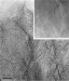 PNNL Scientists Develop New Carbon Support that Greatly Increases Durability of PEM Fuel Cells