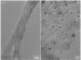 Key Discovery Boosting Efforts to Use Carbon Nanotubes as Catalytic Supports in Direct Ethanol Fuel Cells