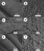 Nanotechnology Improving Wool's Qualities