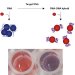 Detecting Differences in DNA Strands using Nanotechnology