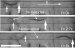 Researchers Develop Way to Propel and Direct Microscopic-Sized Worms Along Narrow Channel
