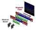 Researchers Observed Nanoscale Symmetry Hidden in Solid State Matter