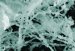 NIST Scientists Quantify Nanoparticle-Protein Interactions