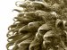 Nanoparticles That Can Cling to Artery Walls and Slowly Release Medicine