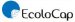EcoloCap Delivered its First Lithium X Batteries