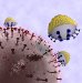 Smart Nanoprobes that May One Day be Used in the Battle Against Cancer