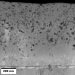Smart Coating Helping Surgical Implants Bond More Closely with Bone