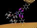 Scientists Develop First and Versatile DNA Reader