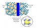 Researchers Develop Computational Modeling Tools Could Accelerate Development of Membrane Technology