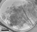 Space Has its Own Recipe for Making Carbon Nanotubes