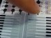 Special Sensors that Can be Printed onto Plastic Film and Affixed to Objects