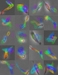 Rensselaer’s CCNI Helped Researchers Develop New Method to Predict Stem Cell's Fate