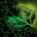 Taking Energy from the Sun and Carbon from the Air to Create New Forms of Biofuels