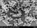 How Nanoparticles Effect the Human Body
