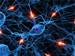 LTU Researchers Develop Lab on a Chip to Study Brain Cells in Stroke Patients