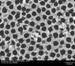 Atomic Layer Deposition Used to Integrate Biological Functionality into Nanomaterials