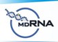 USPTO Issues Patent Allowance for Cell Specific siRNAs Delivery Methods