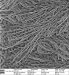 PNNL and AIST Places Order for ORION PLUS Helium-Ion Microscopes from Carl Zeiss