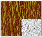 Unexpected Wrinkles Discovered in Nanotube Coating