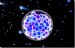 Scientists Discover Newest Superheavy Element