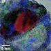 Study Reveals Importance of Size in Determining Structure of Hollow Nanoparticles