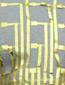 Silk-Based Ultrathin Flexible Implants Record Brain Activity