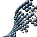 NPL Supports HPA to Advance Research on Toxicology of Nanoparticles