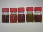 Study on Light Harvesting Mechanism of Purple Bacteria