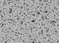Nanobiotix Announces Closing of Series-C Financing to Advance Development of NanoXray