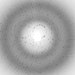 Researchers Capture Image of Nano-Scale Movement of Atoms During Photosynthesis