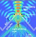 Successful Extraction of Light from Semiconductors with the Highest Efficiency