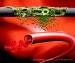 Stem Cells Stimulate Regeneration of Vascular Tissue to Allow for Optimised Integration of Textile Implants