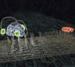 Scientists Develop Molecular Nanorobot That Mimicks a Spider
