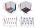 Ten-Qubit Hyper-Entangled Schrödinger Cat State Successfully Generated by Researchers