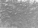 Improving Orthopedic Implants with Nanotubes