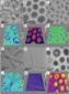 Researchers Create Janus Dendrimer Assemblies for Drug Delivery