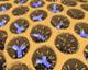 Silica Particles Packed with Anti-Cancer Drugs Prevent Tumor Growth
