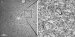 Quick and Efficient Imaging of Large-Area Specimens with Nanometer Resolution
